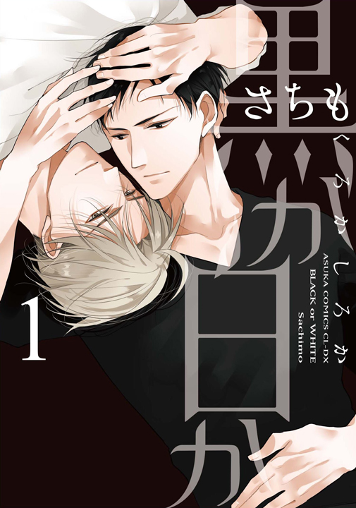 Kuro ka Shiro ka's cover