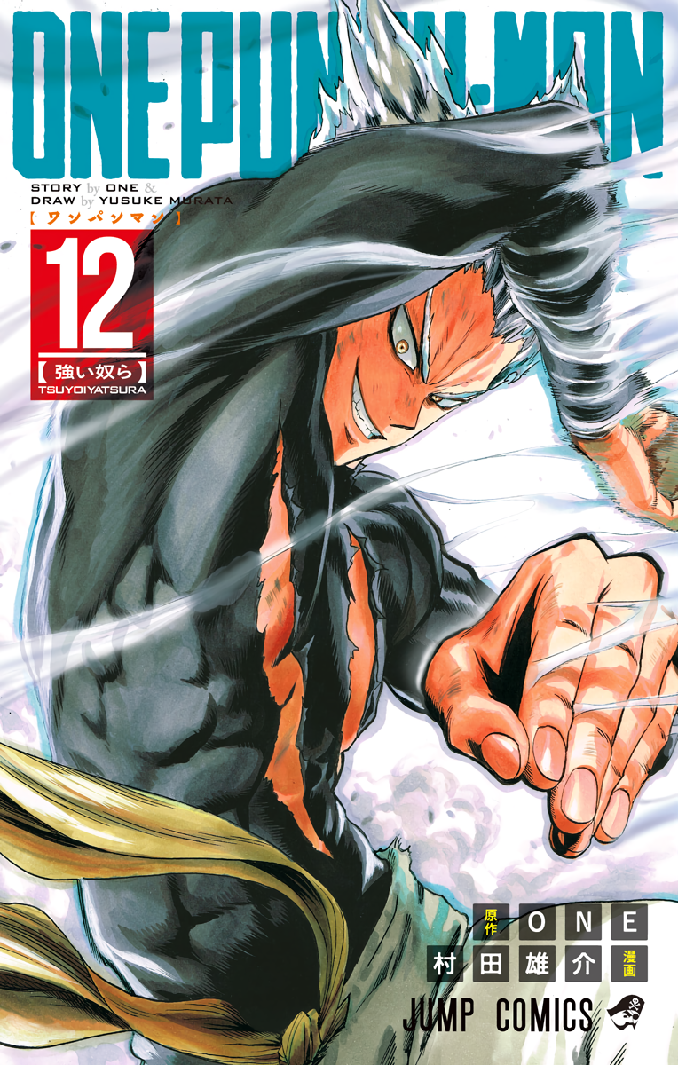 Cover 12