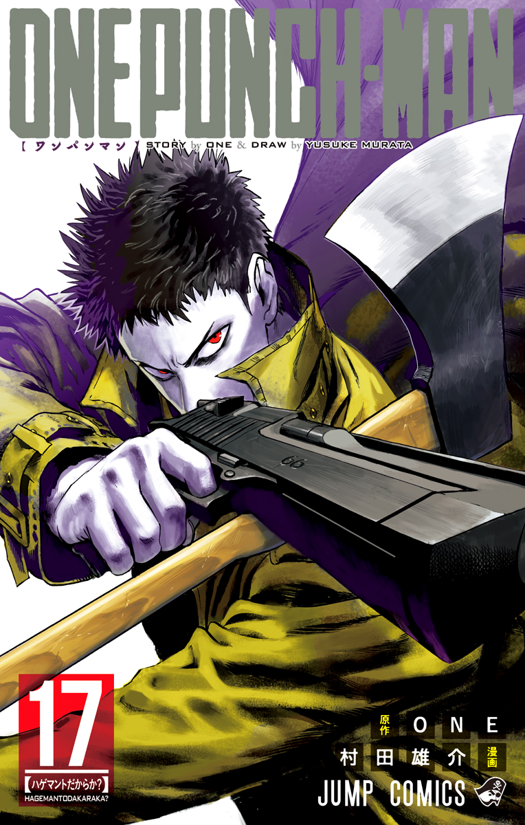 Cover 17
