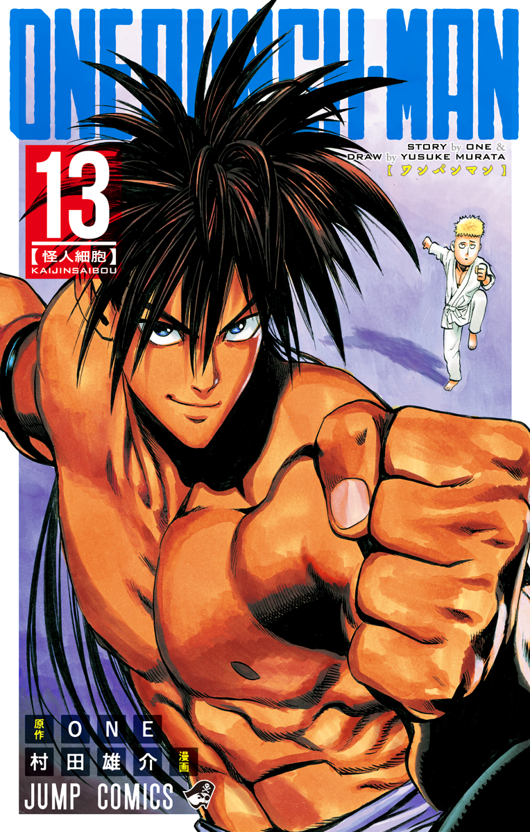 Cover 13