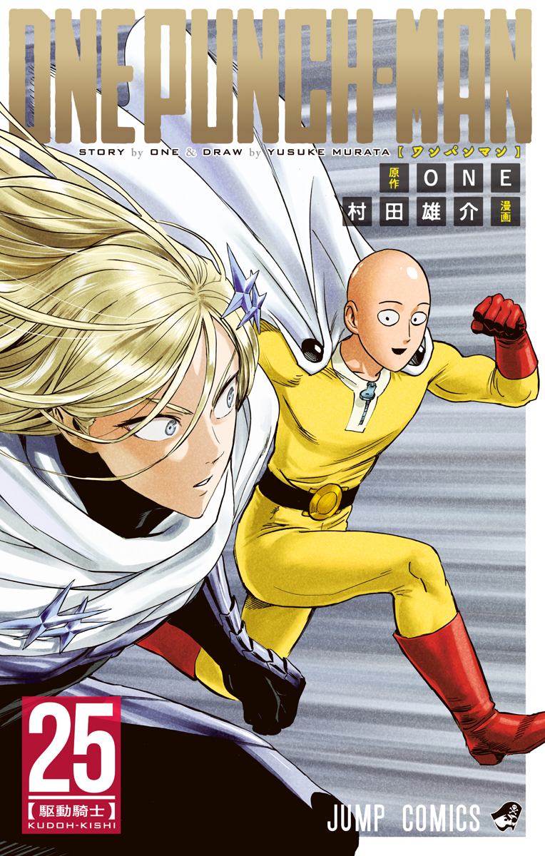 Cover 25
