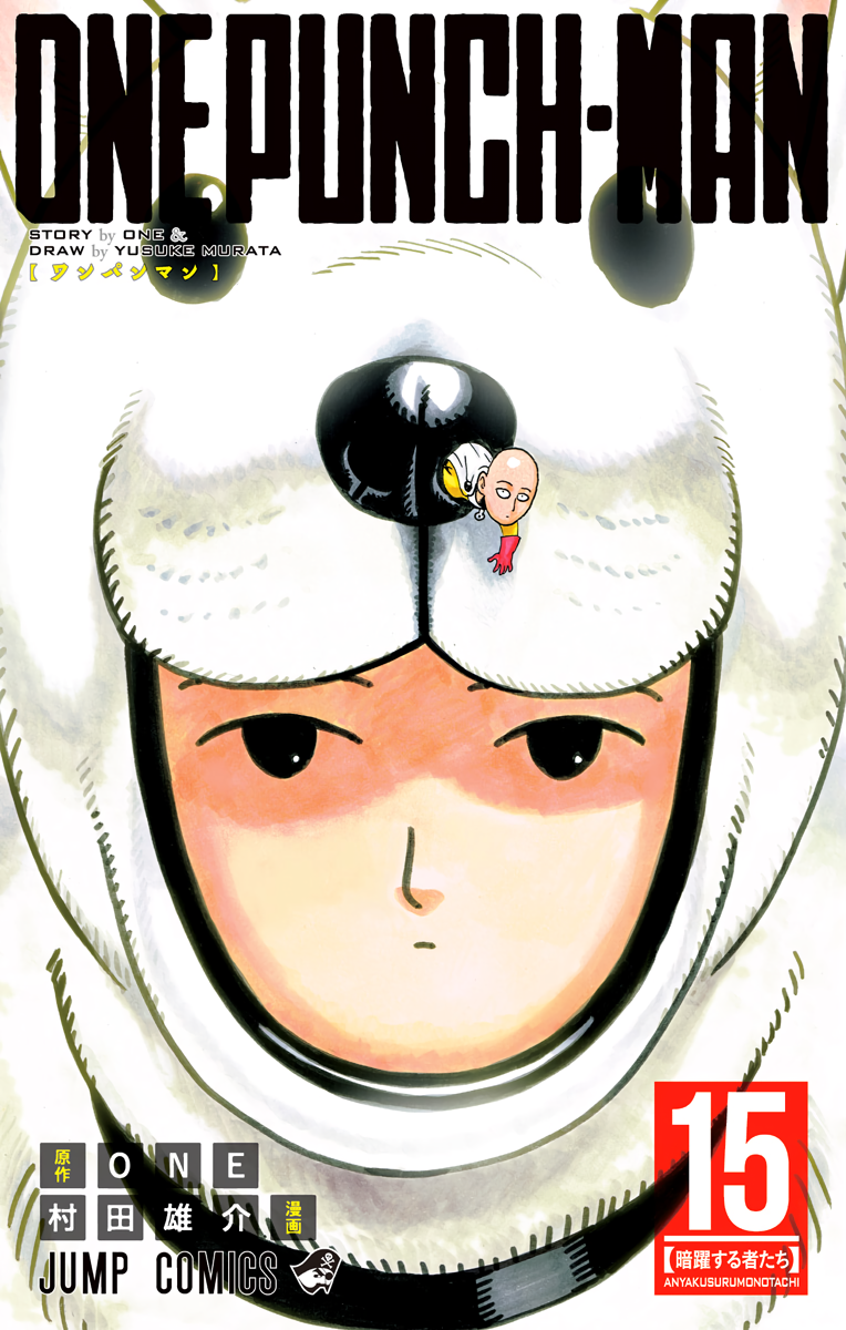 Cover 15