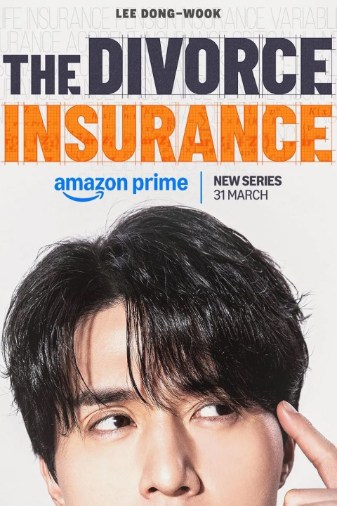 The Divorce Insurance's cover