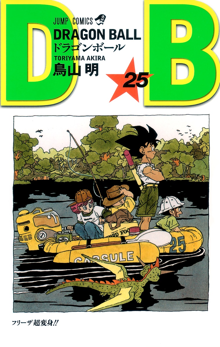 Cover 25