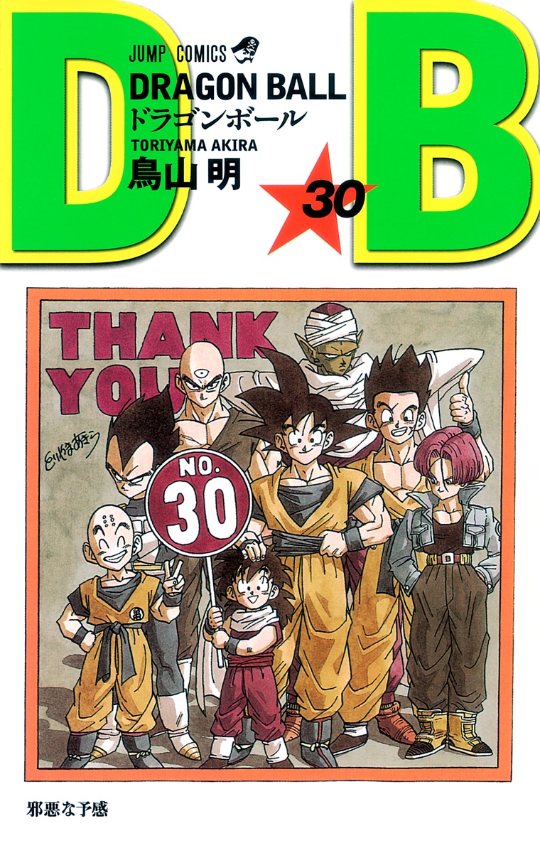 Cover 30