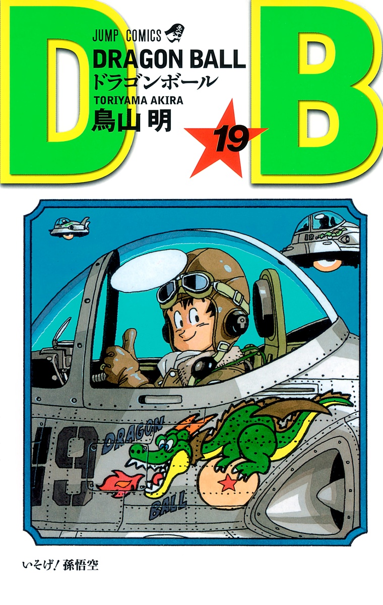 Cover 19