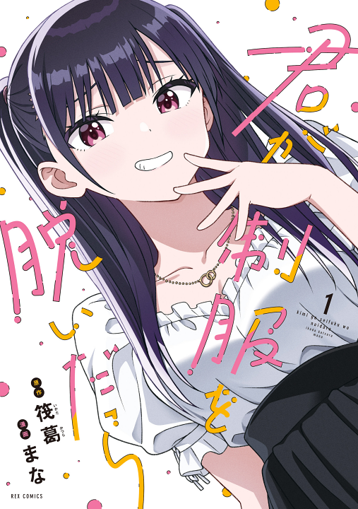 Kimi wa Seifuku wo Nuidara's cover