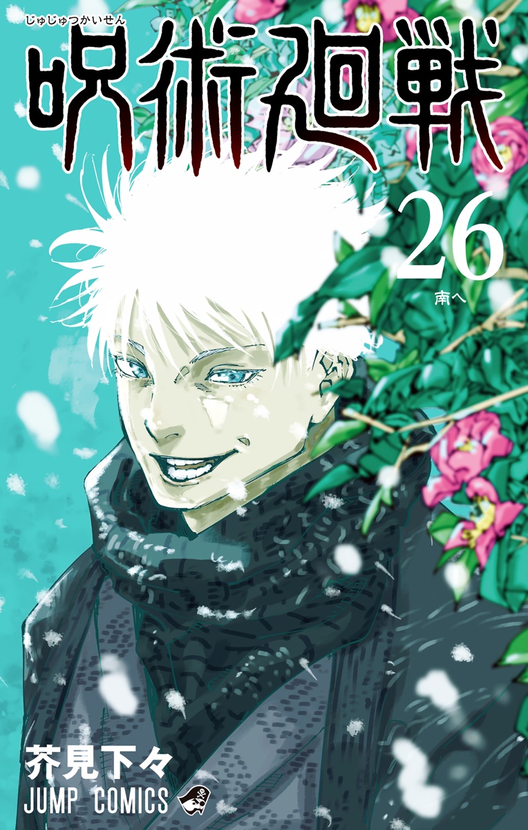 Cover 25