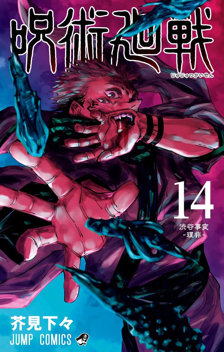 Cover 13