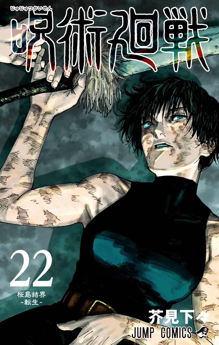 Cover 21