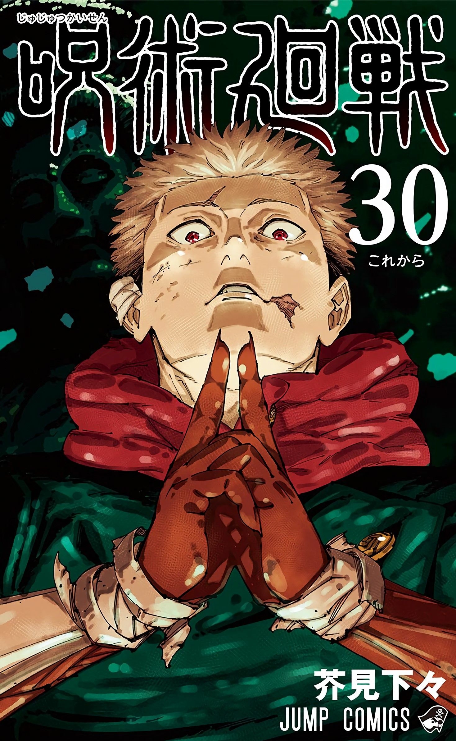 Cover 29