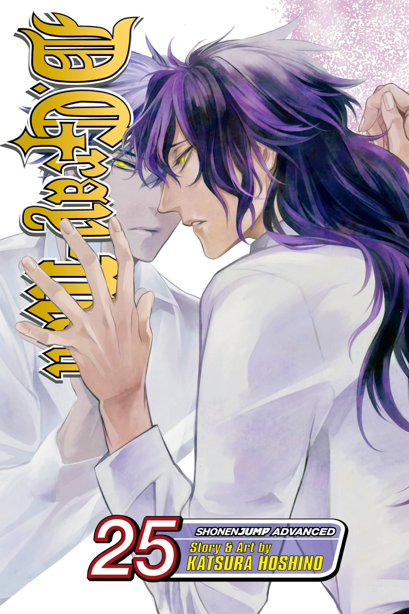 Cover 25