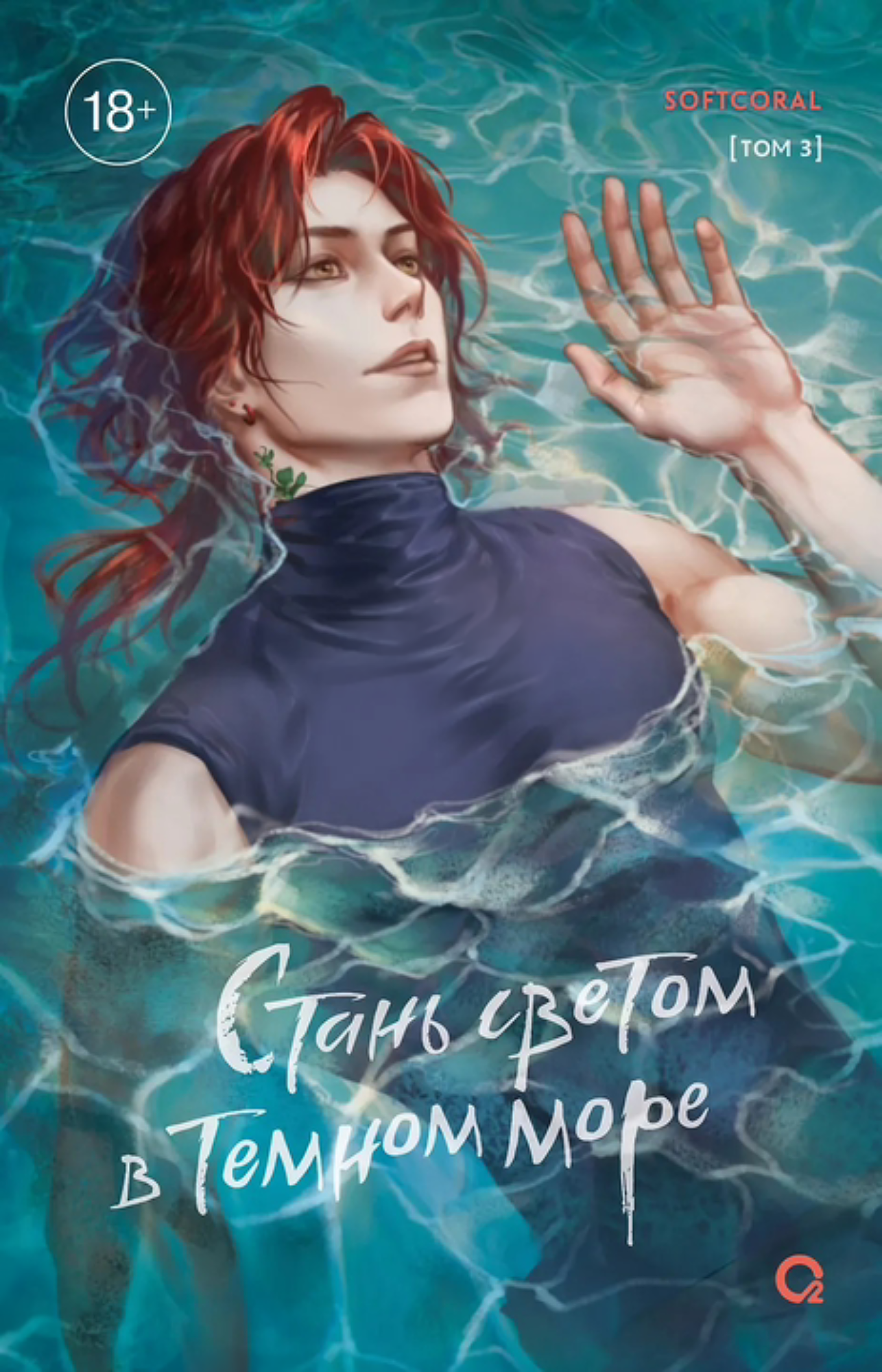 Cover 17