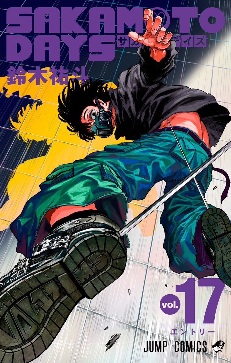 Cover 17