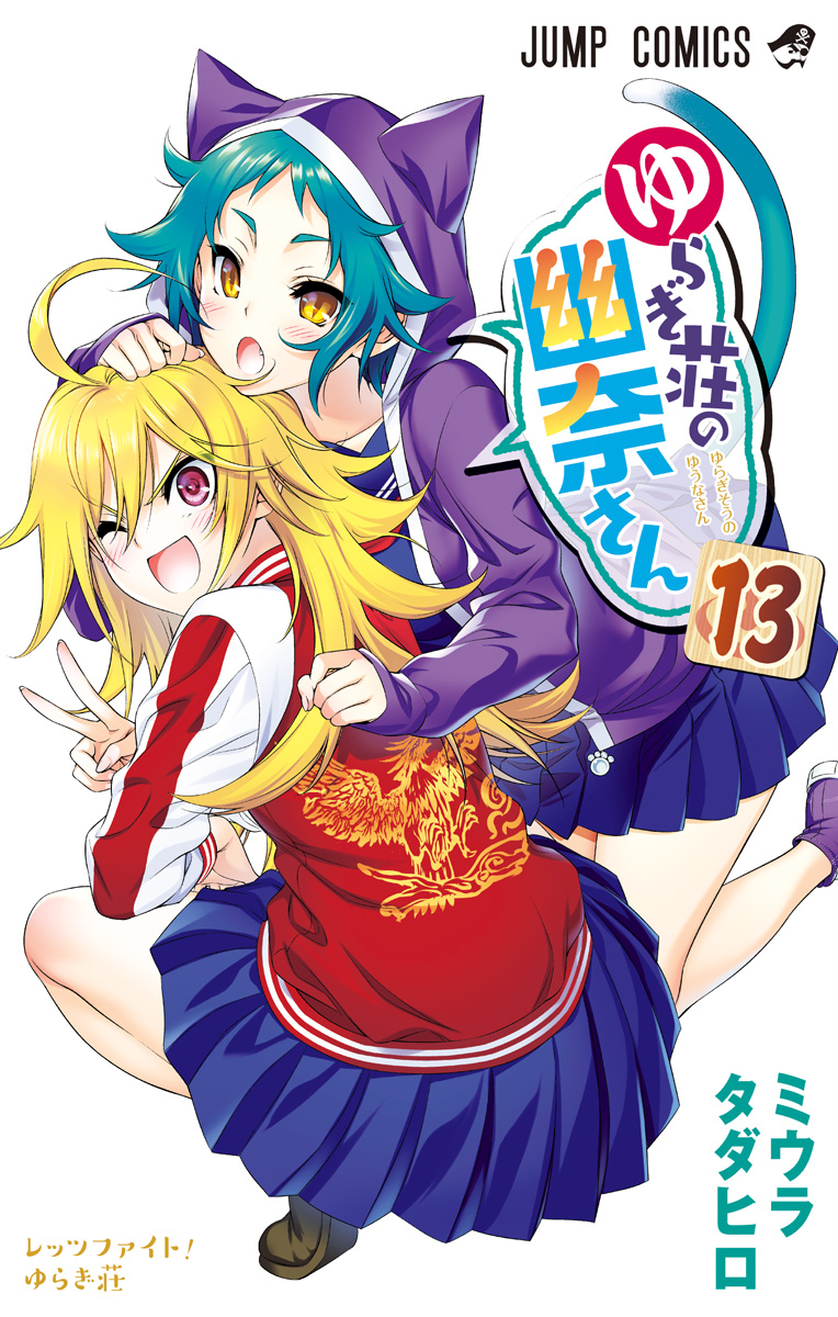 Cover 13