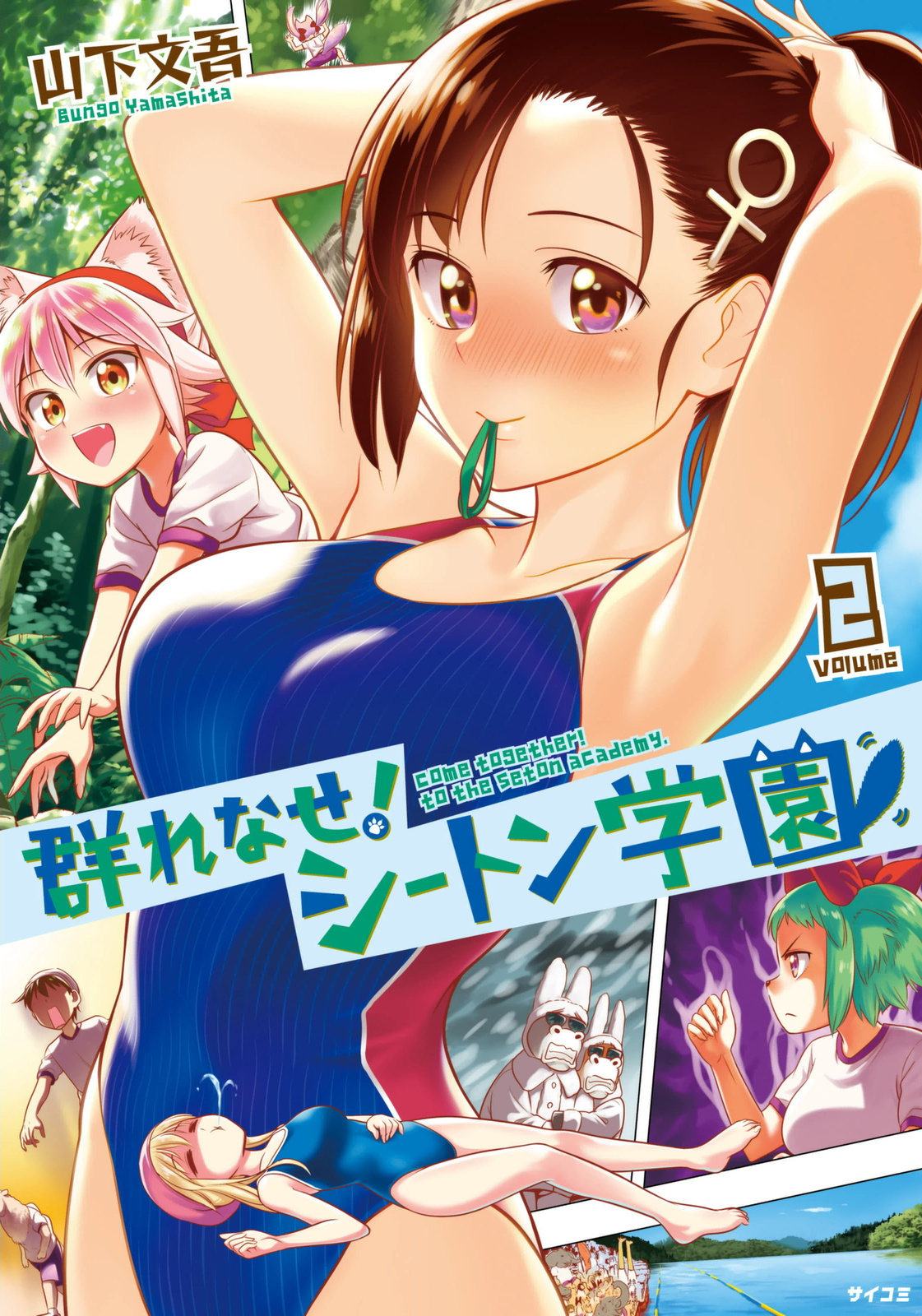 Cover 2