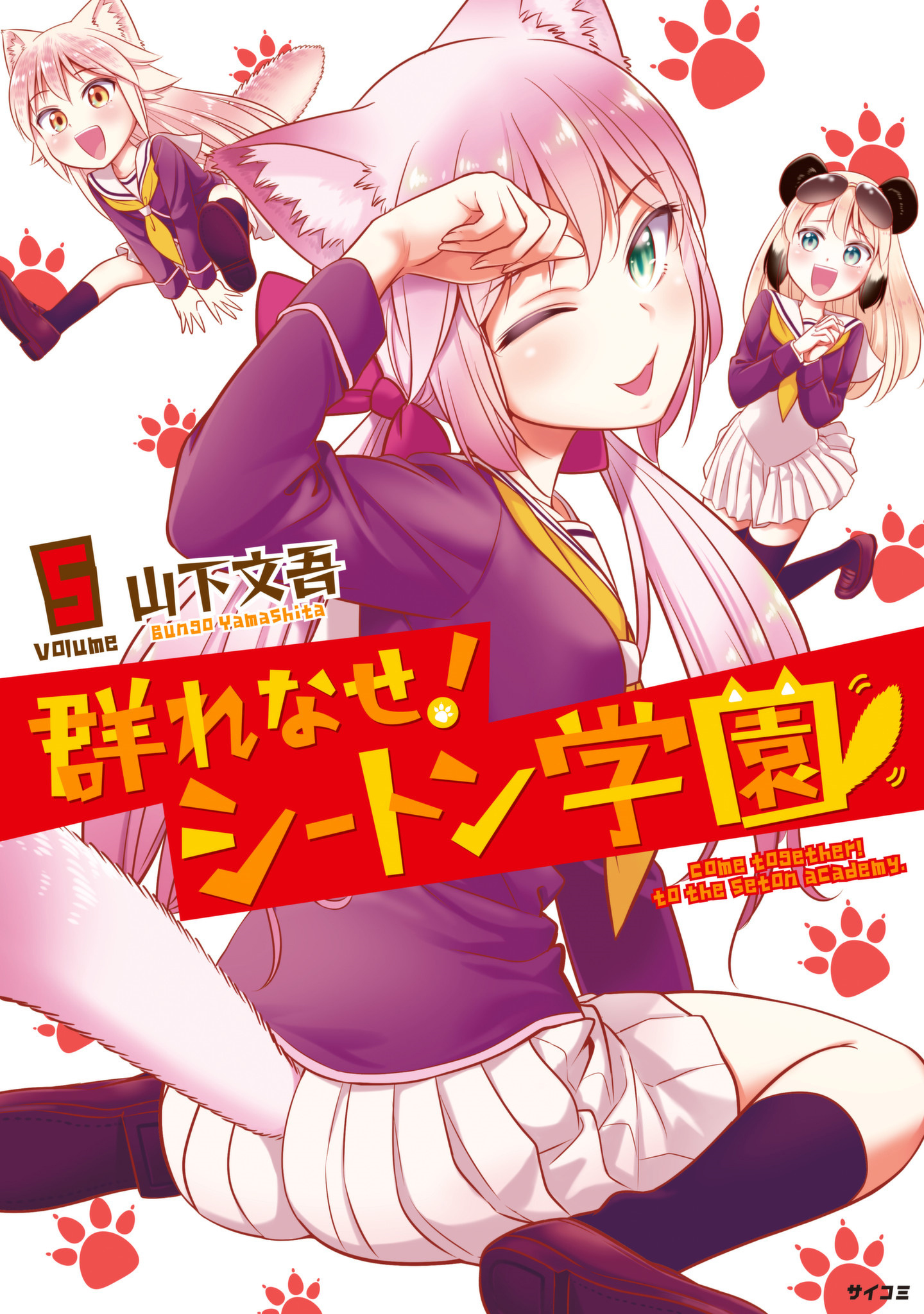 Cover 5