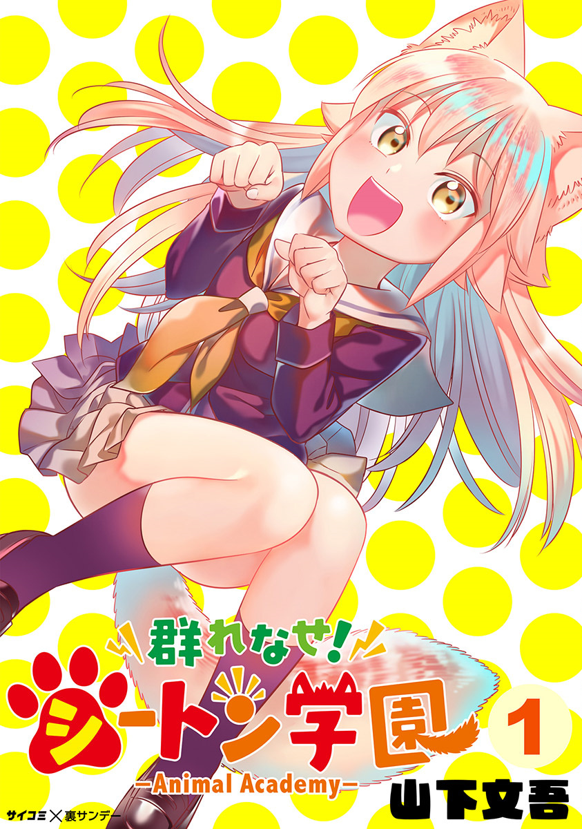 Cover 7