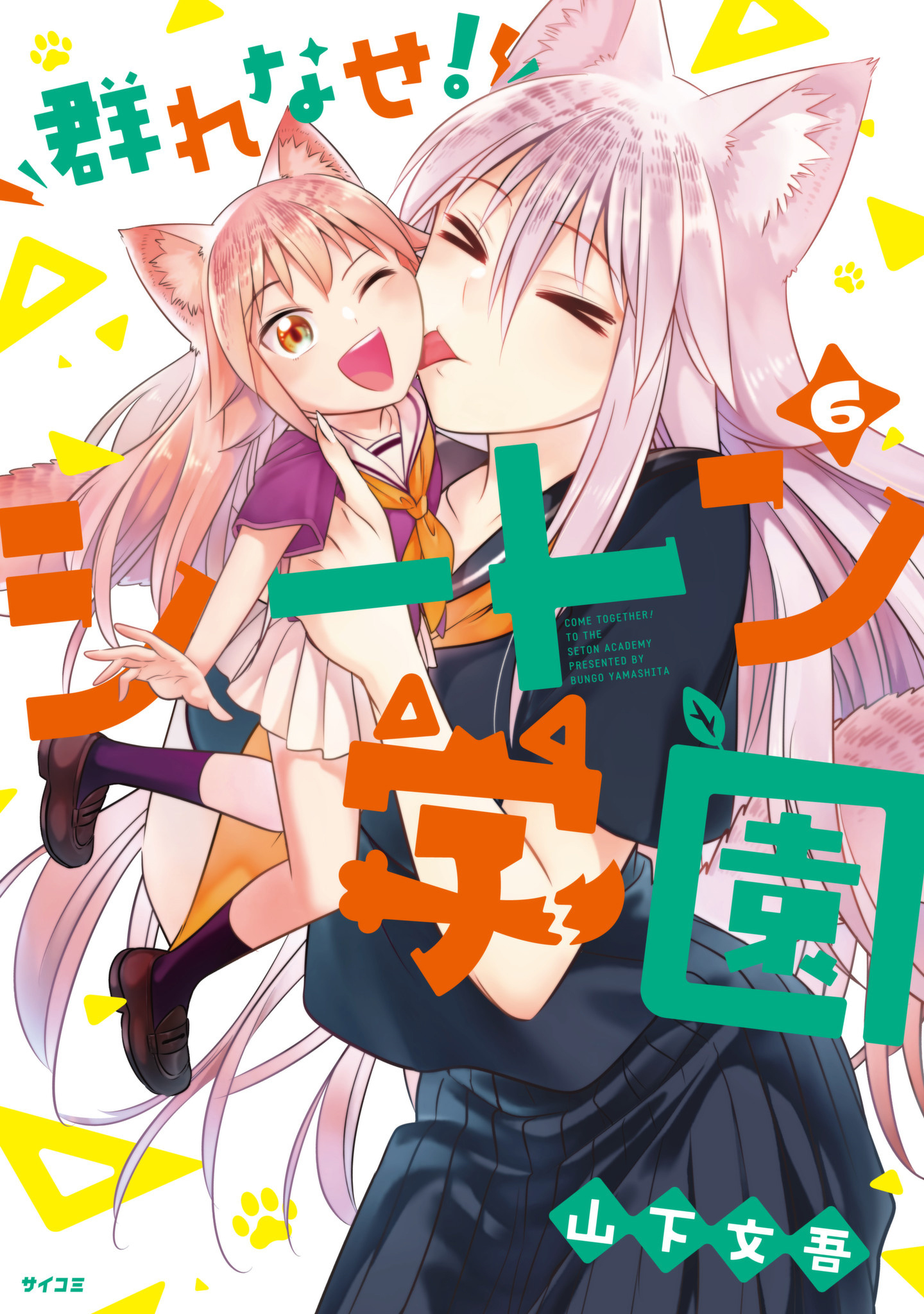 Cover 6