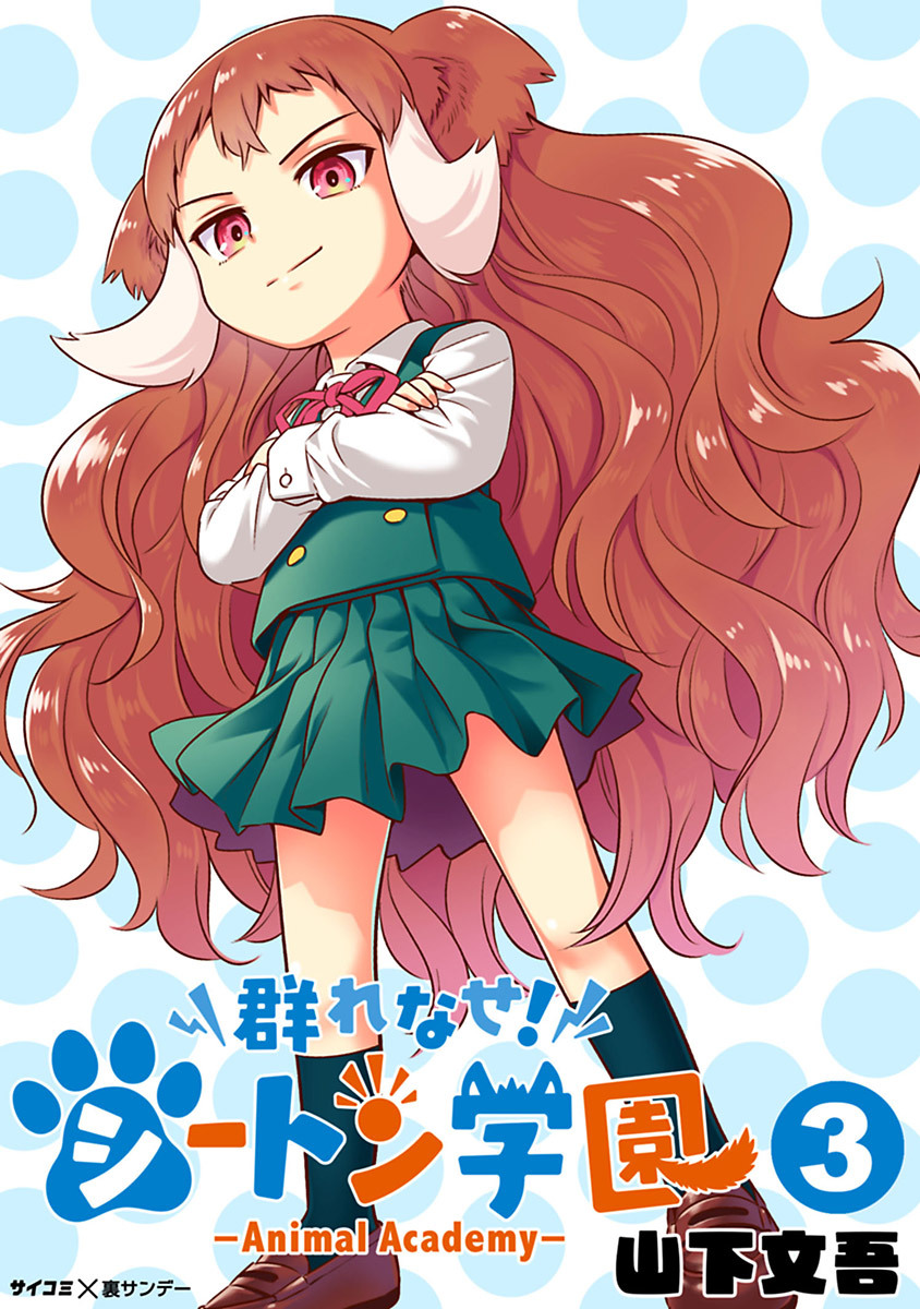 Cover 9