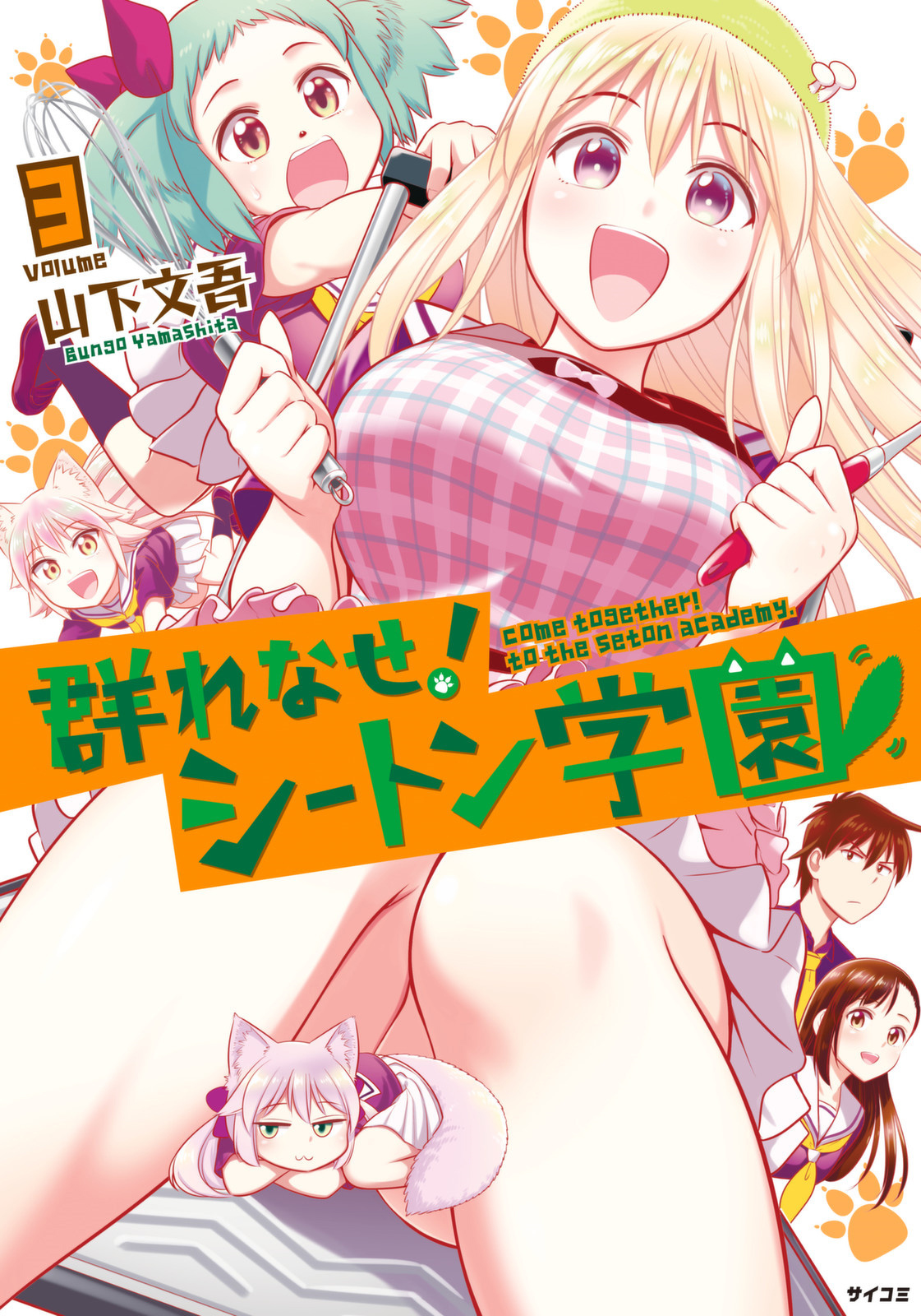 Cover 3