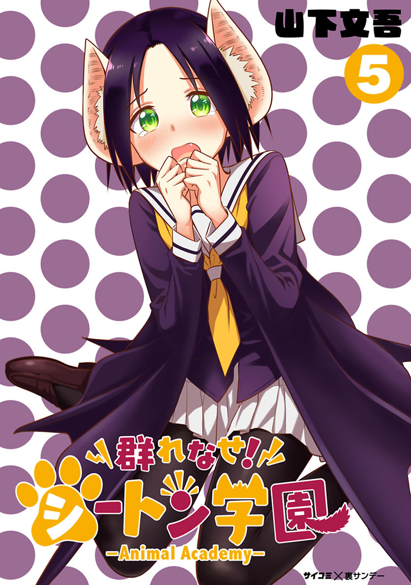 Cover 11
