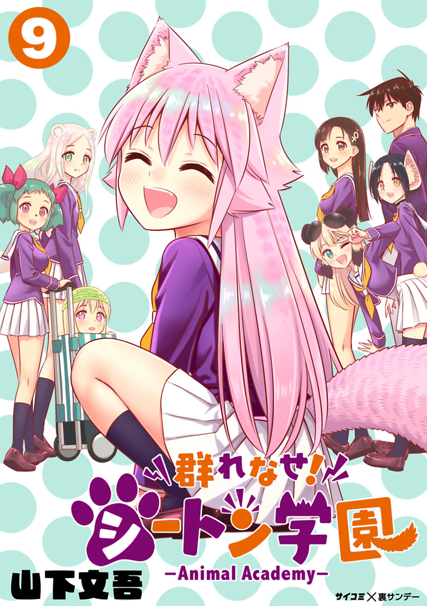 Cover 15