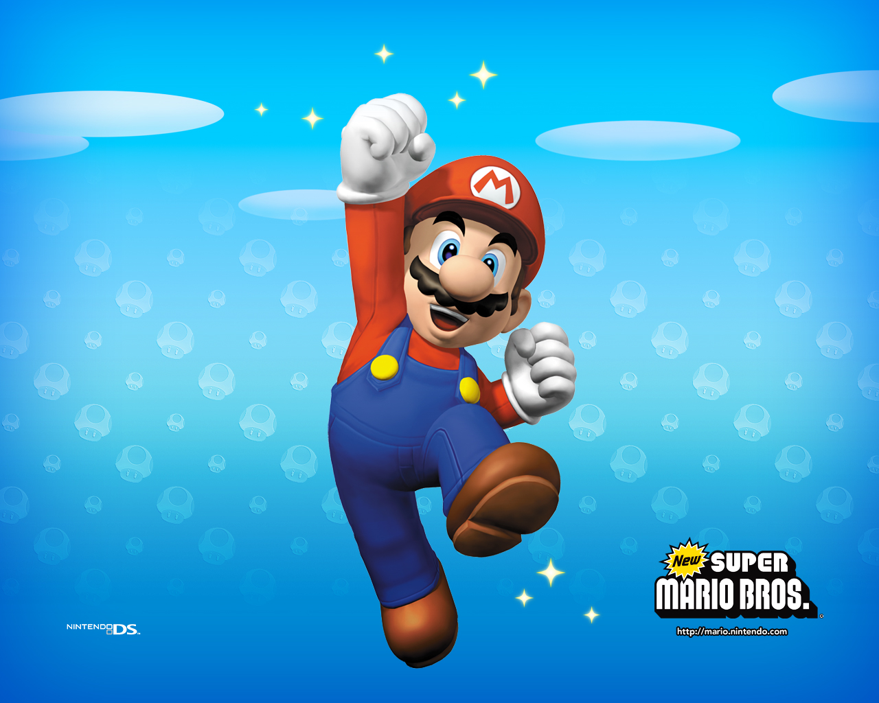 Cover 29