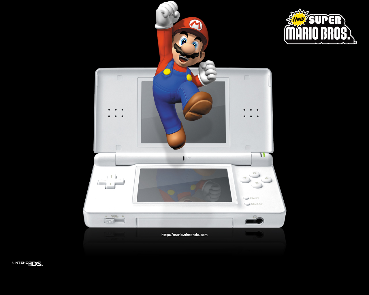 Cover 33