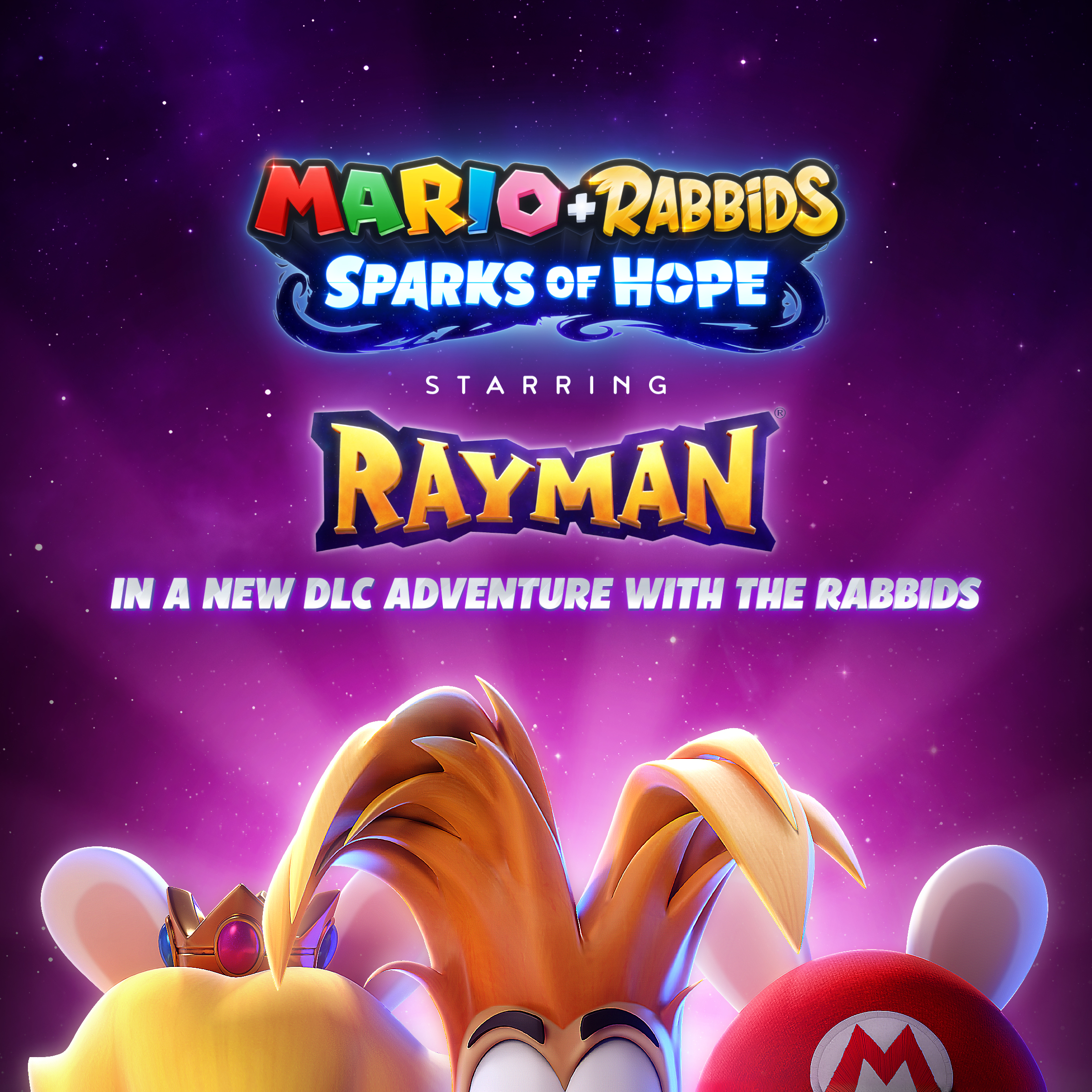 Cover 41