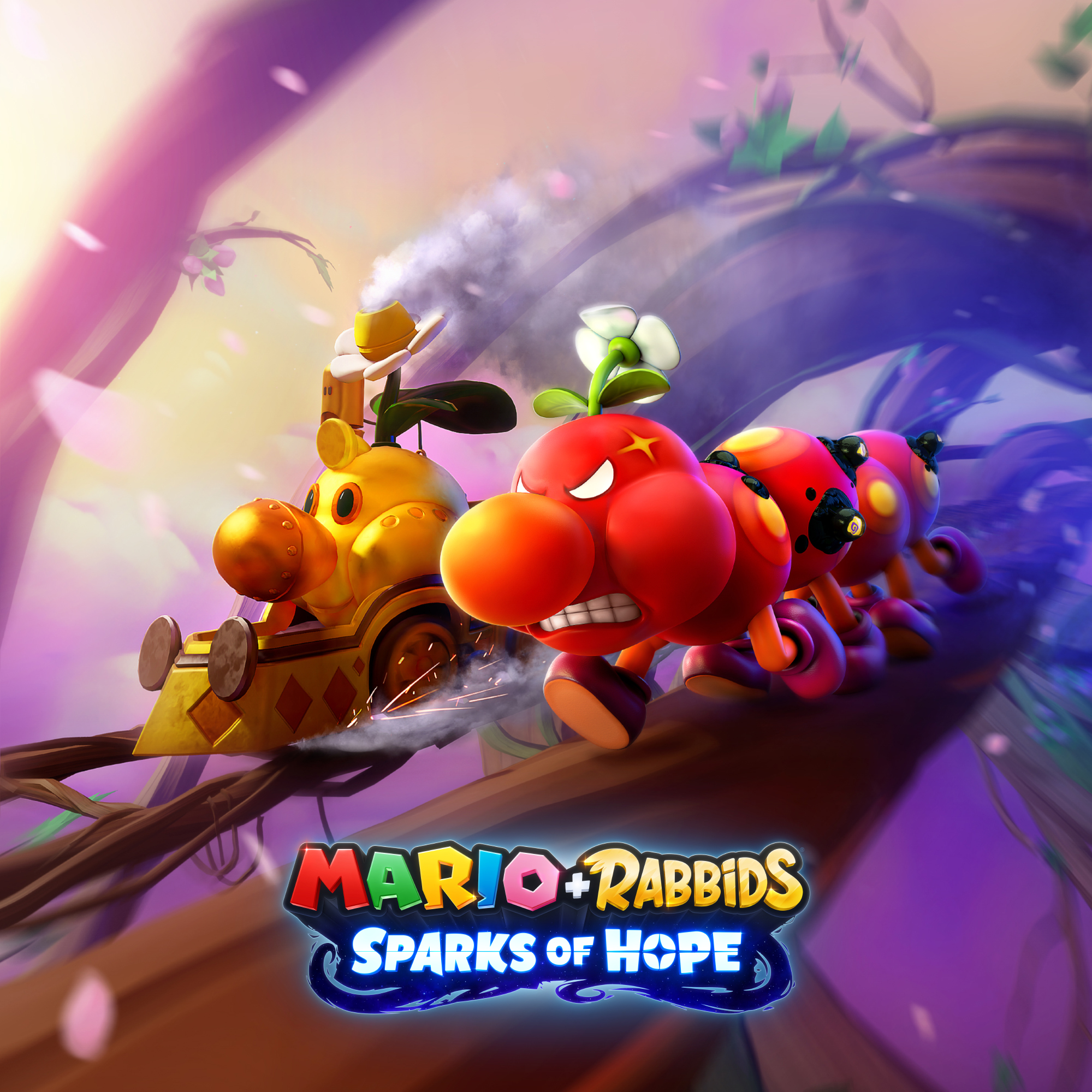 Cover 25