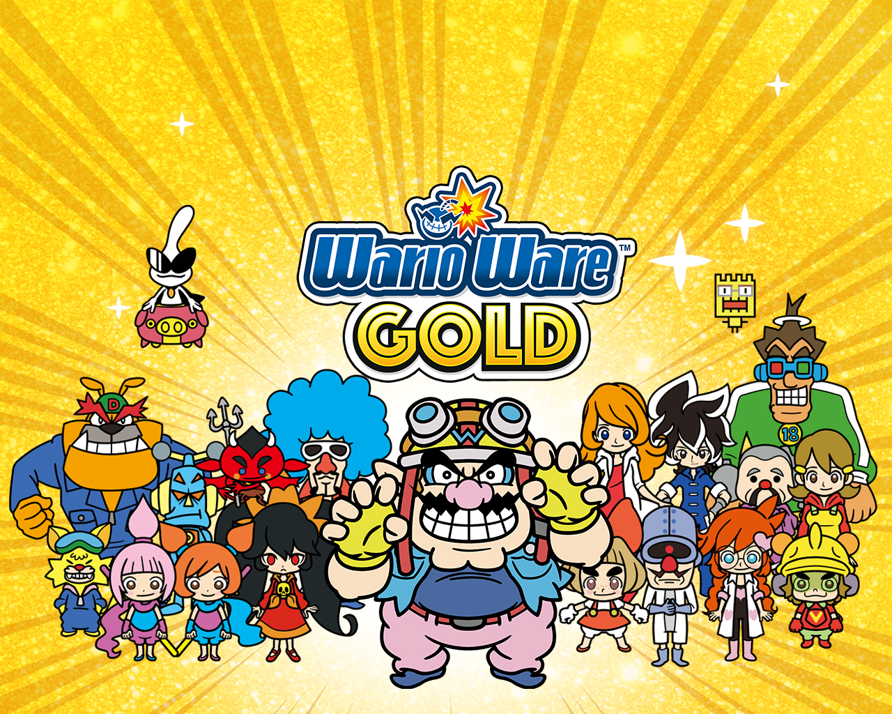 Cover 13