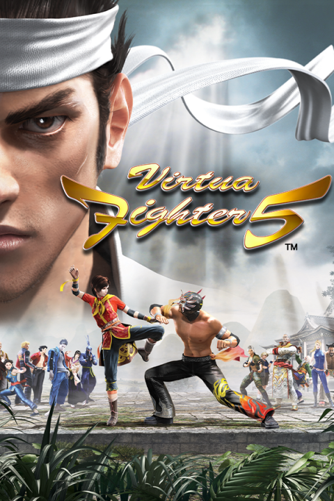 Virtua Fighter 5's cover