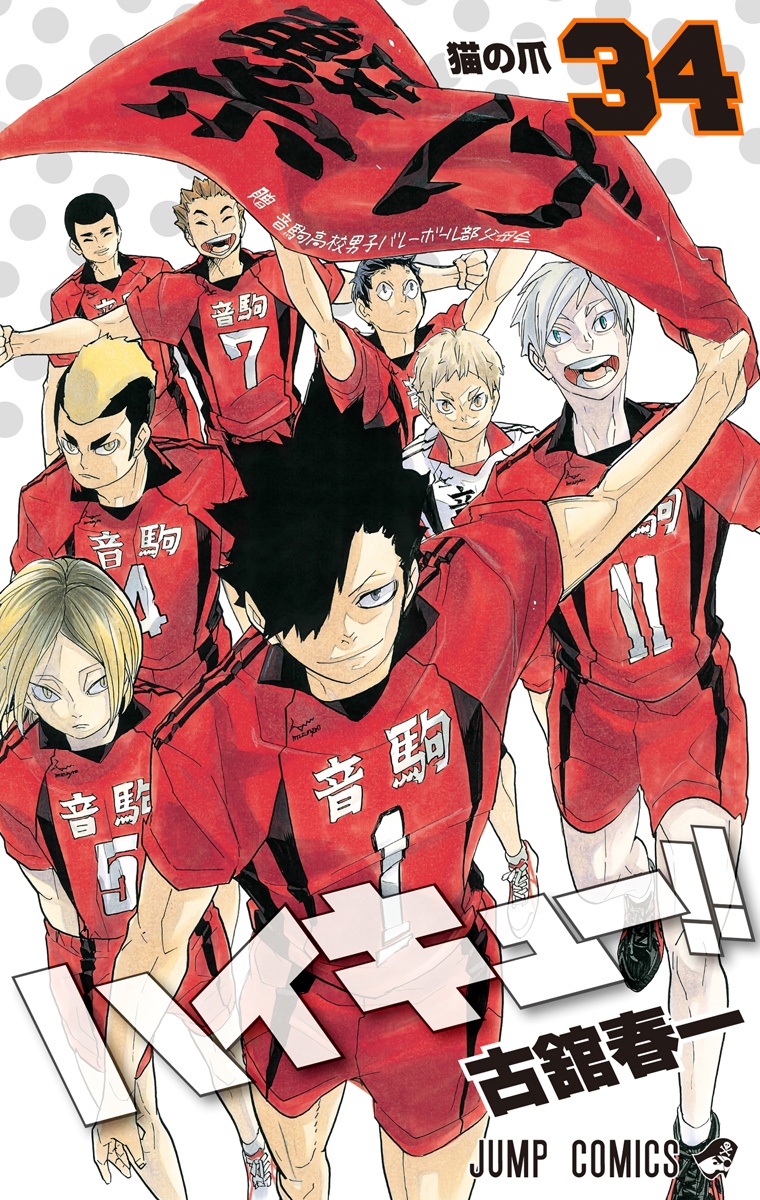Cover 29