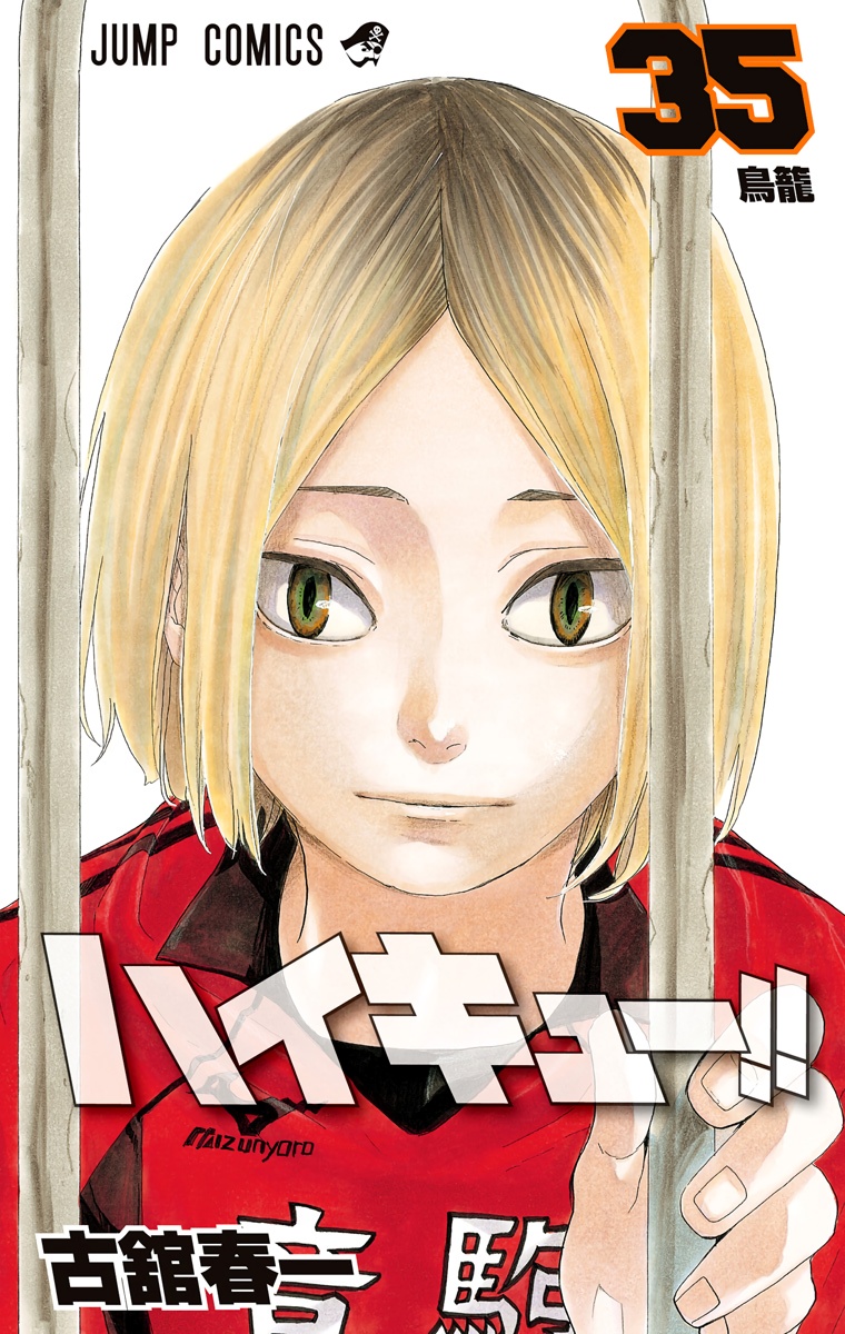 Cover 30