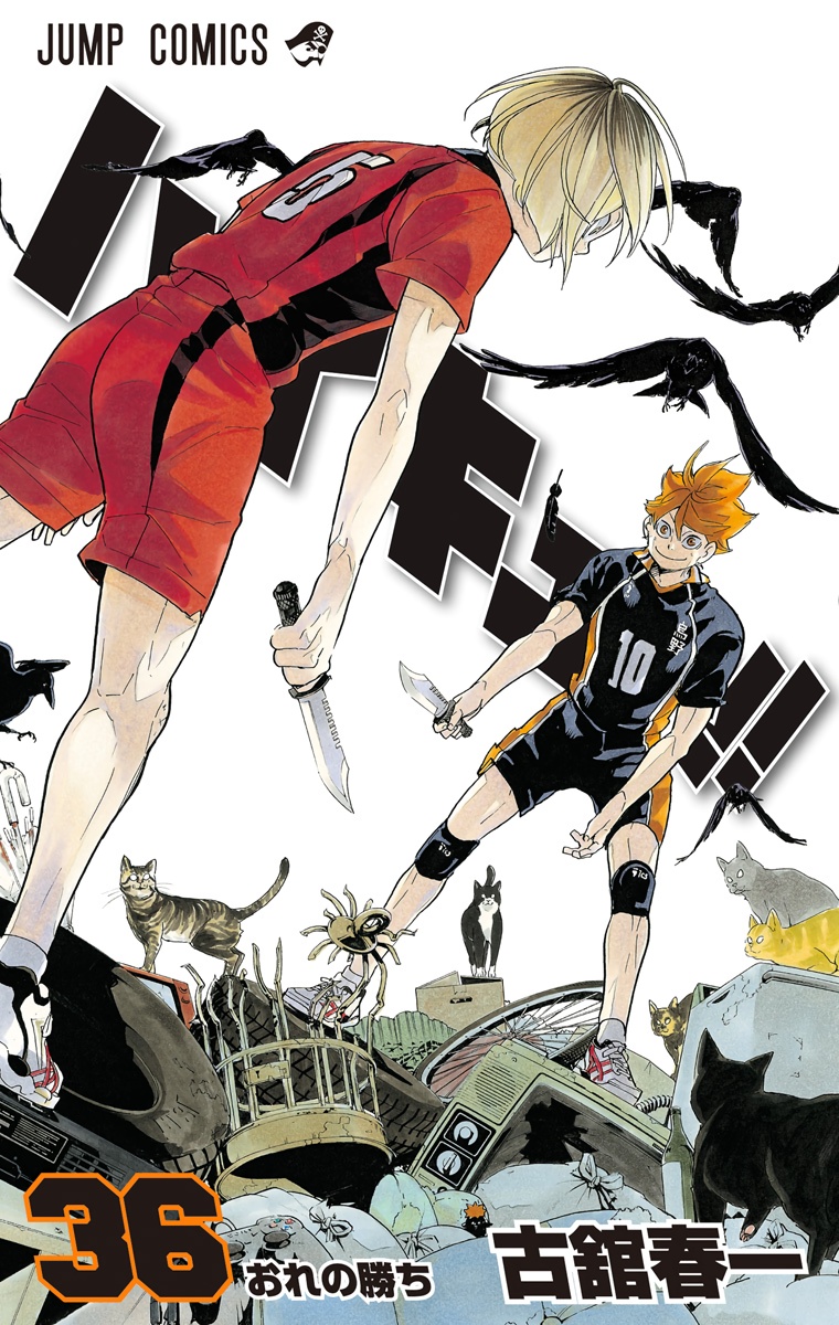 Cover 31