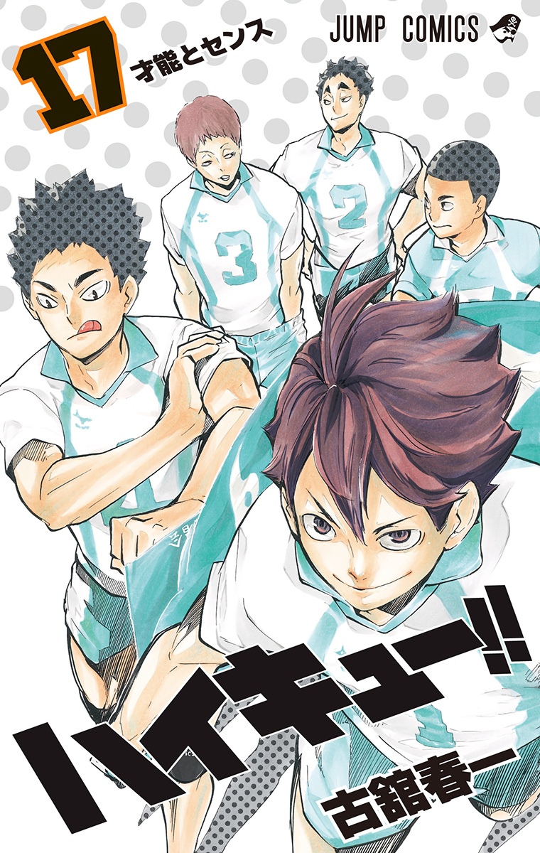 Cover 17