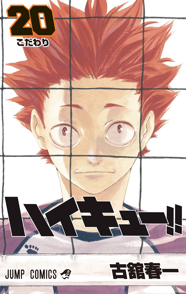 Cover 20