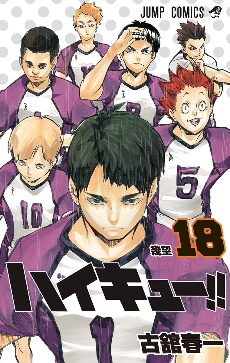 Cover 18