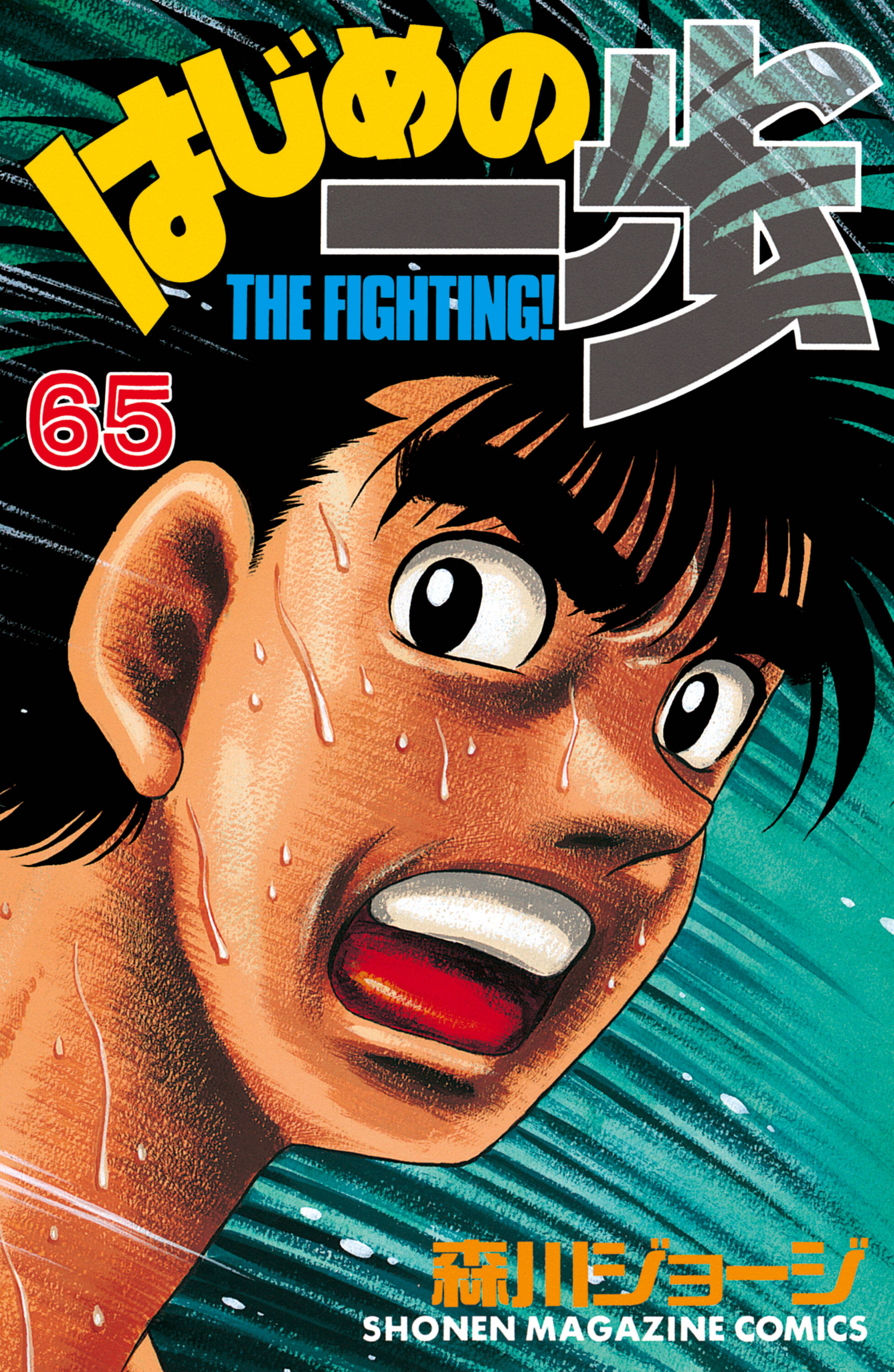 Cover 65
