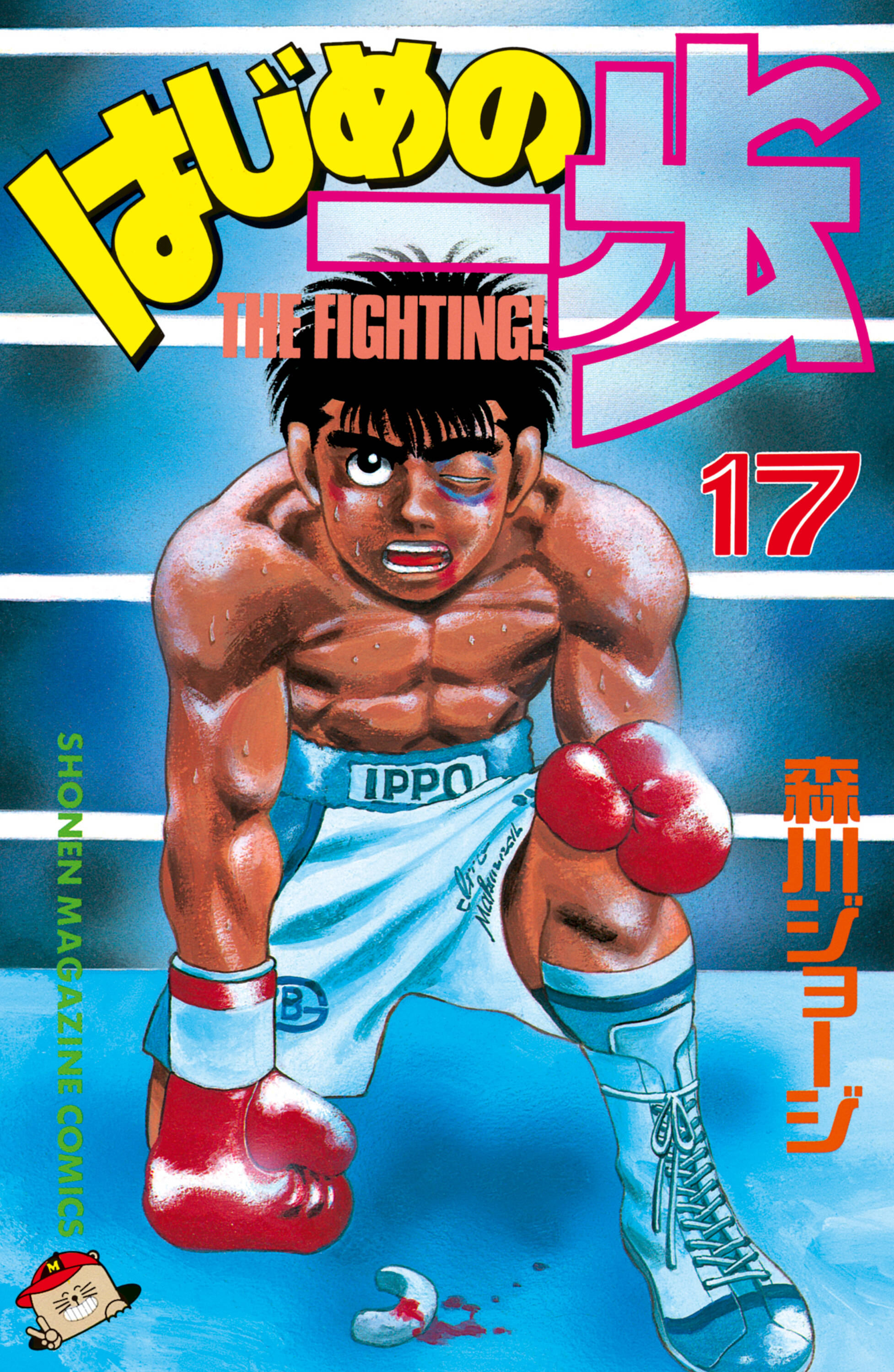 Cover 17