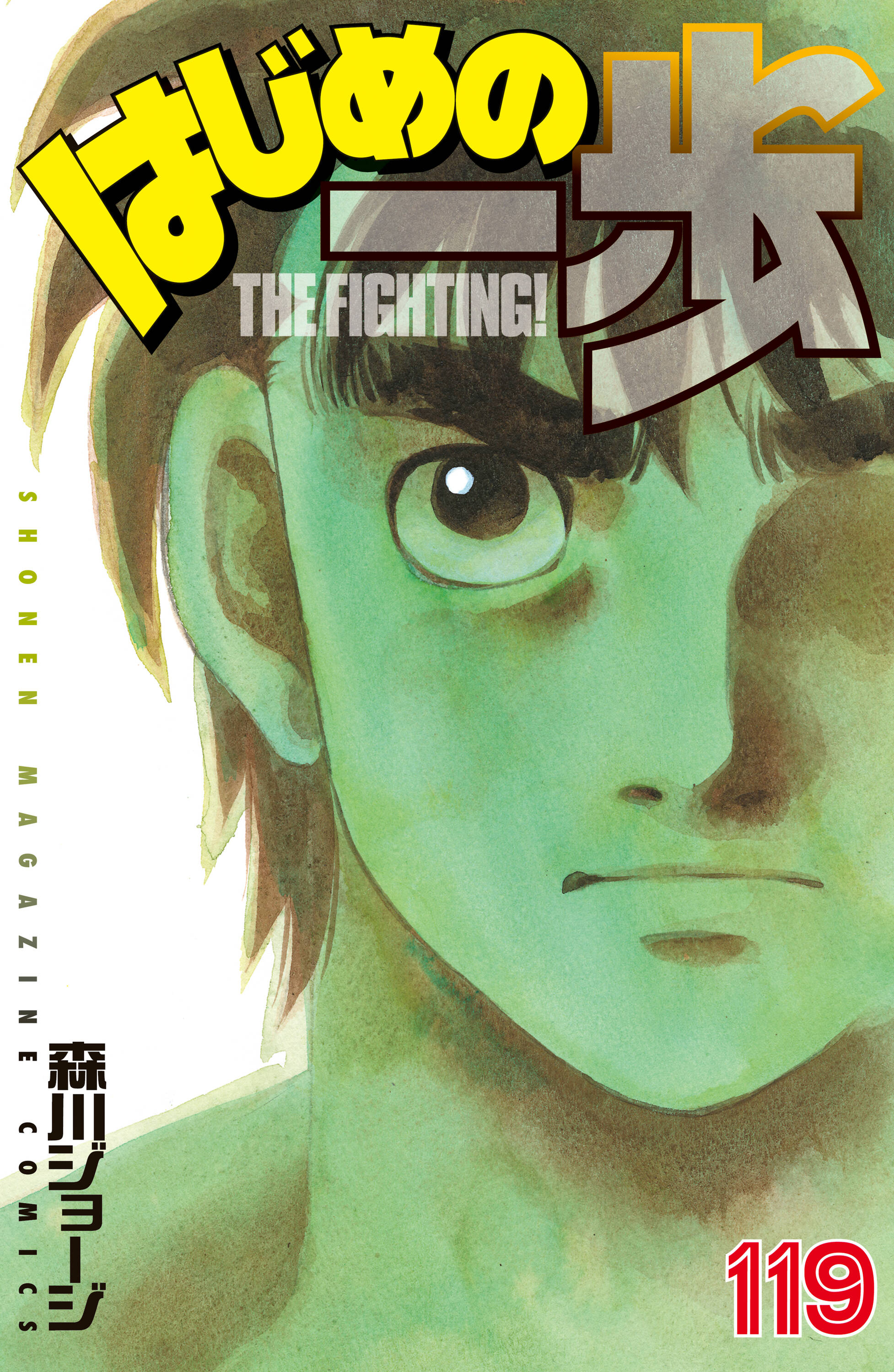 Cover 119