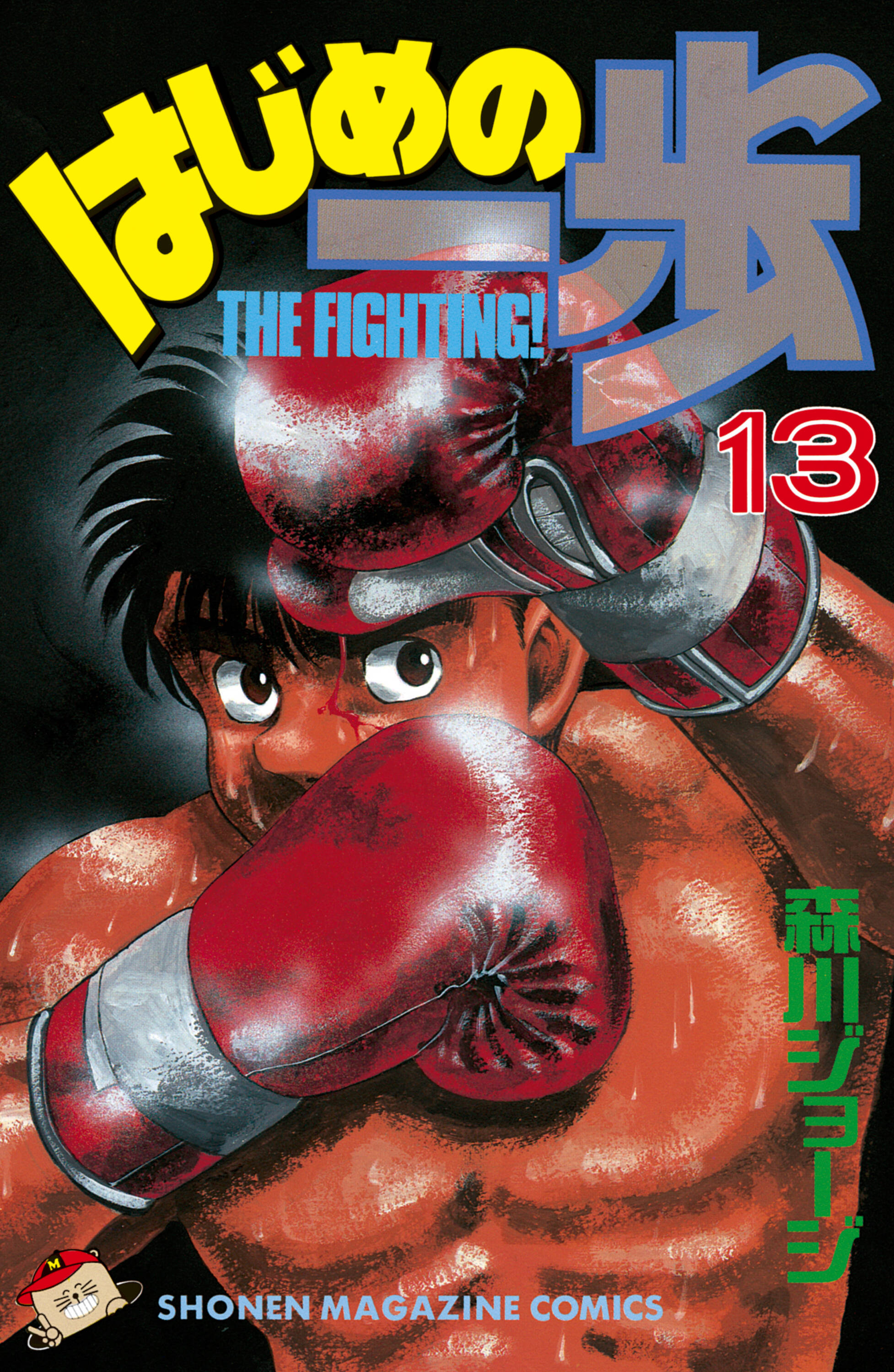 Cover 13