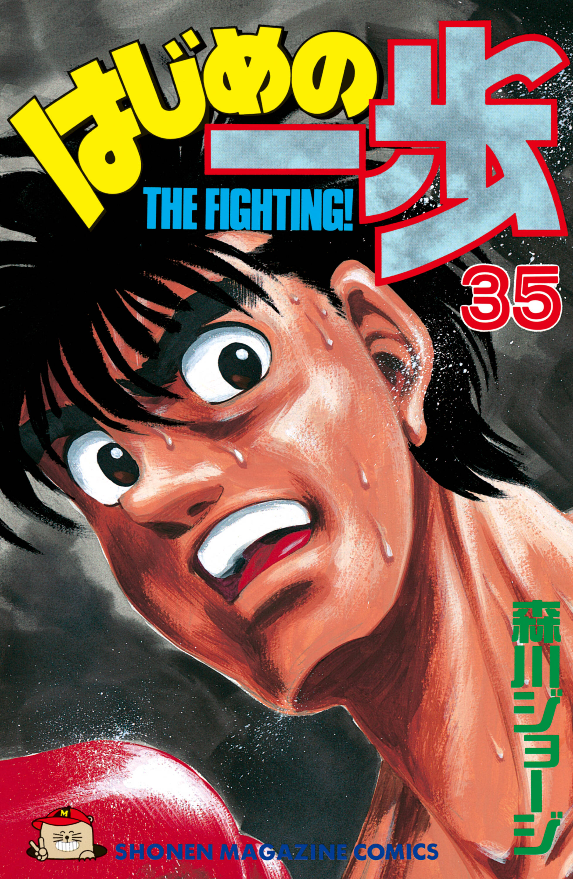 Cover 35