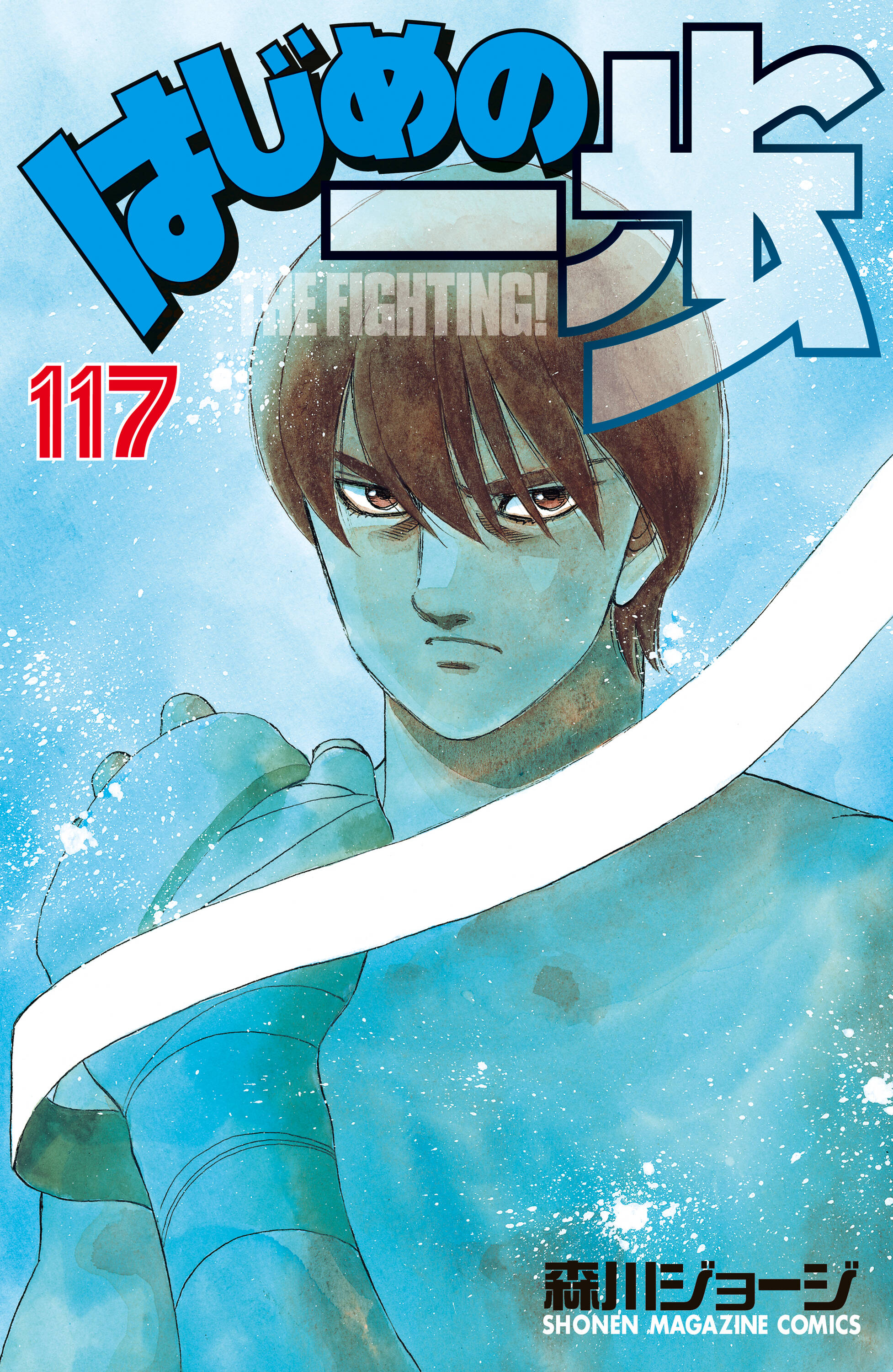 Cover 117