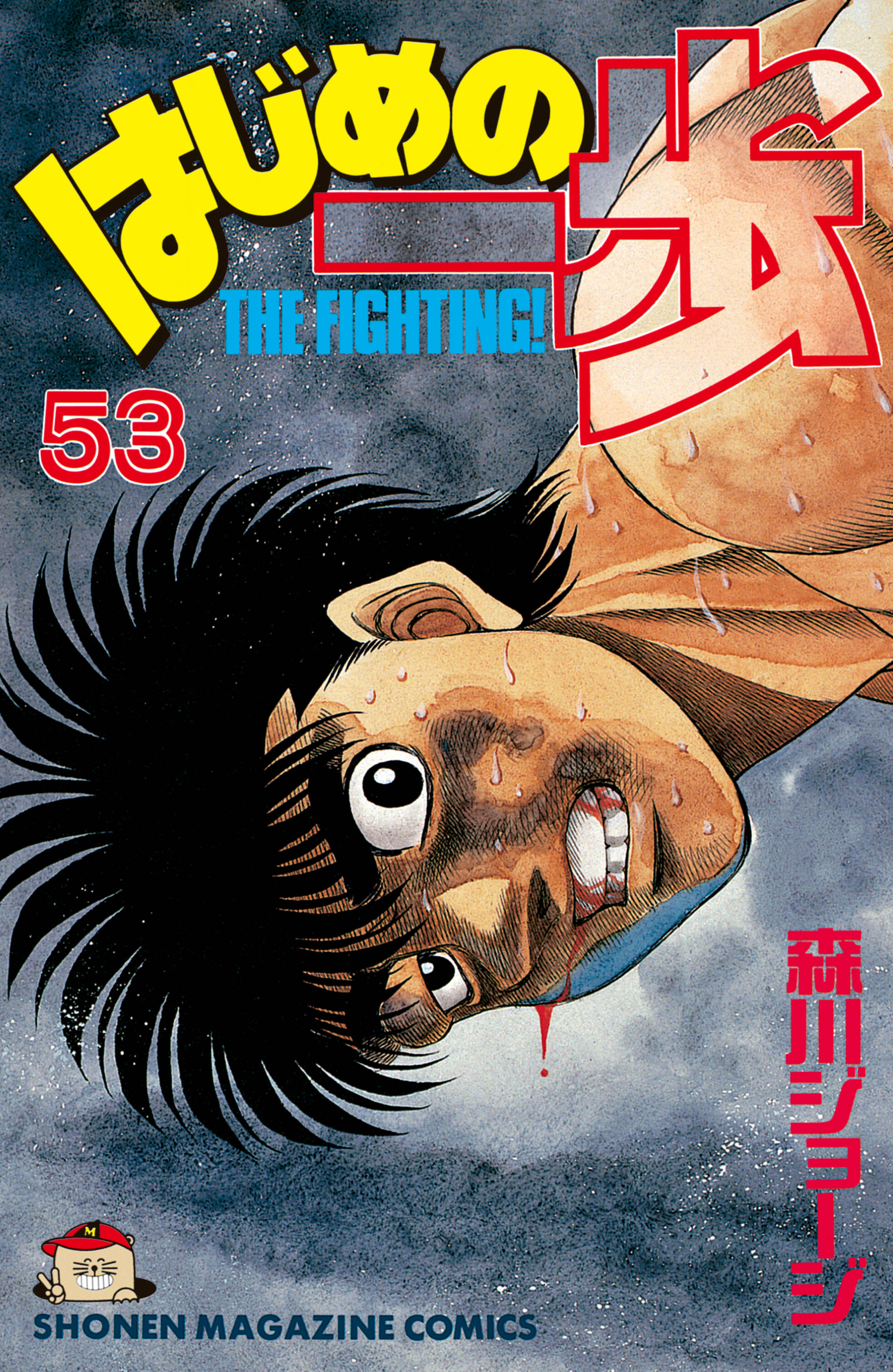 Cover 53