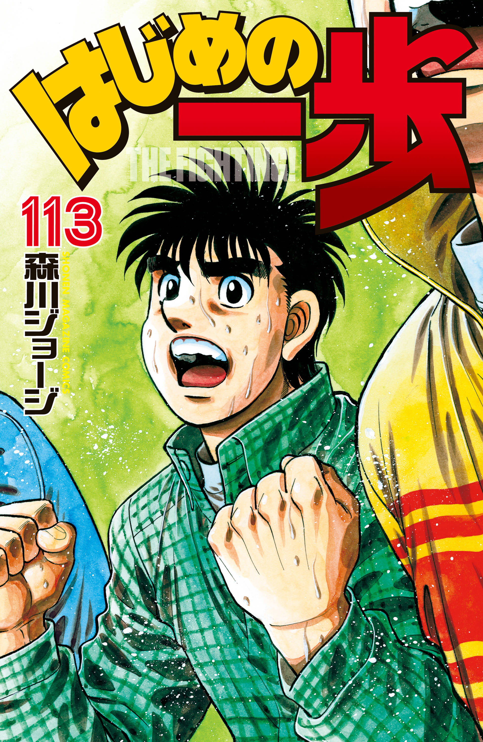 Cover 113