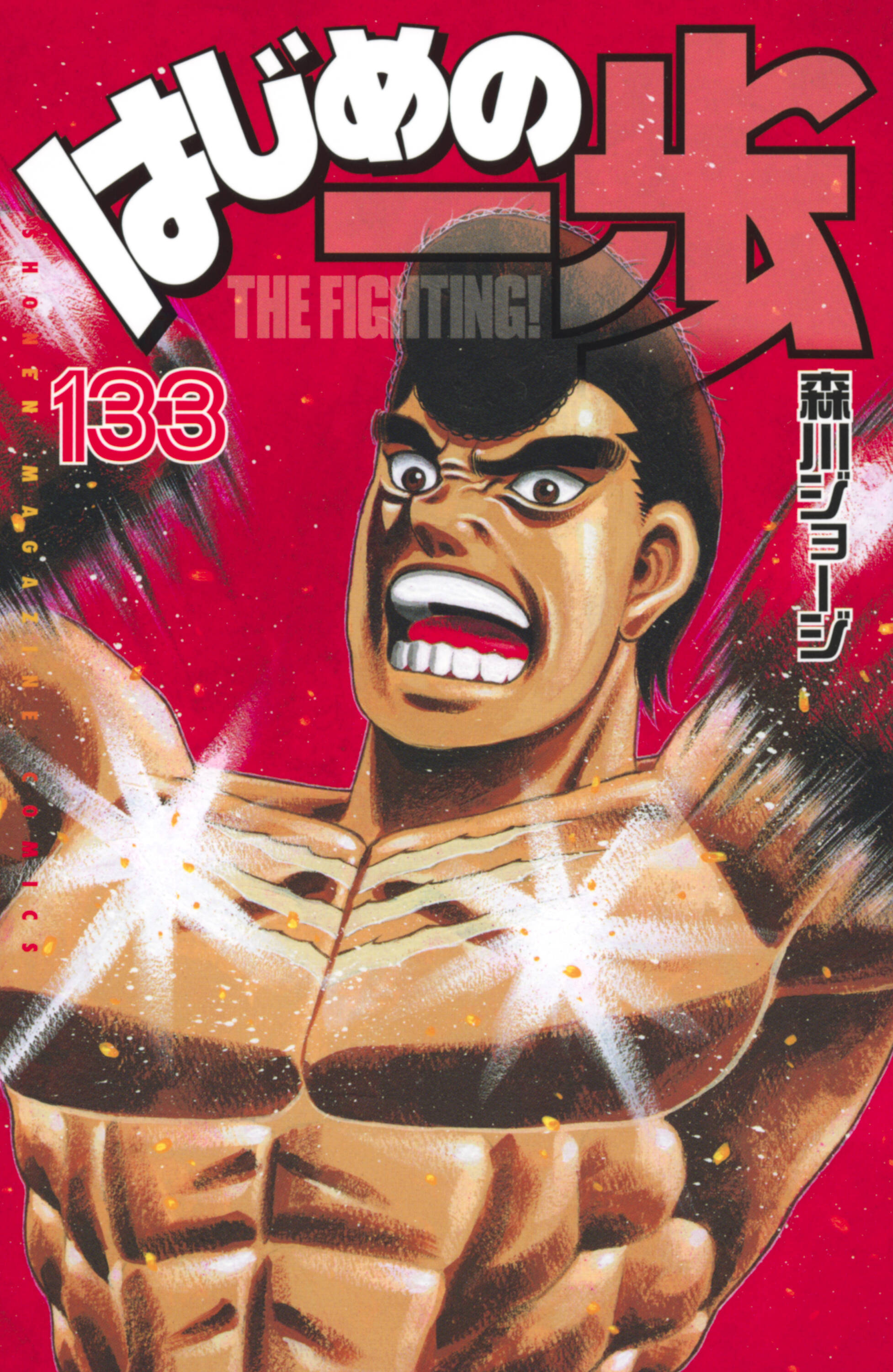 Cover 133
