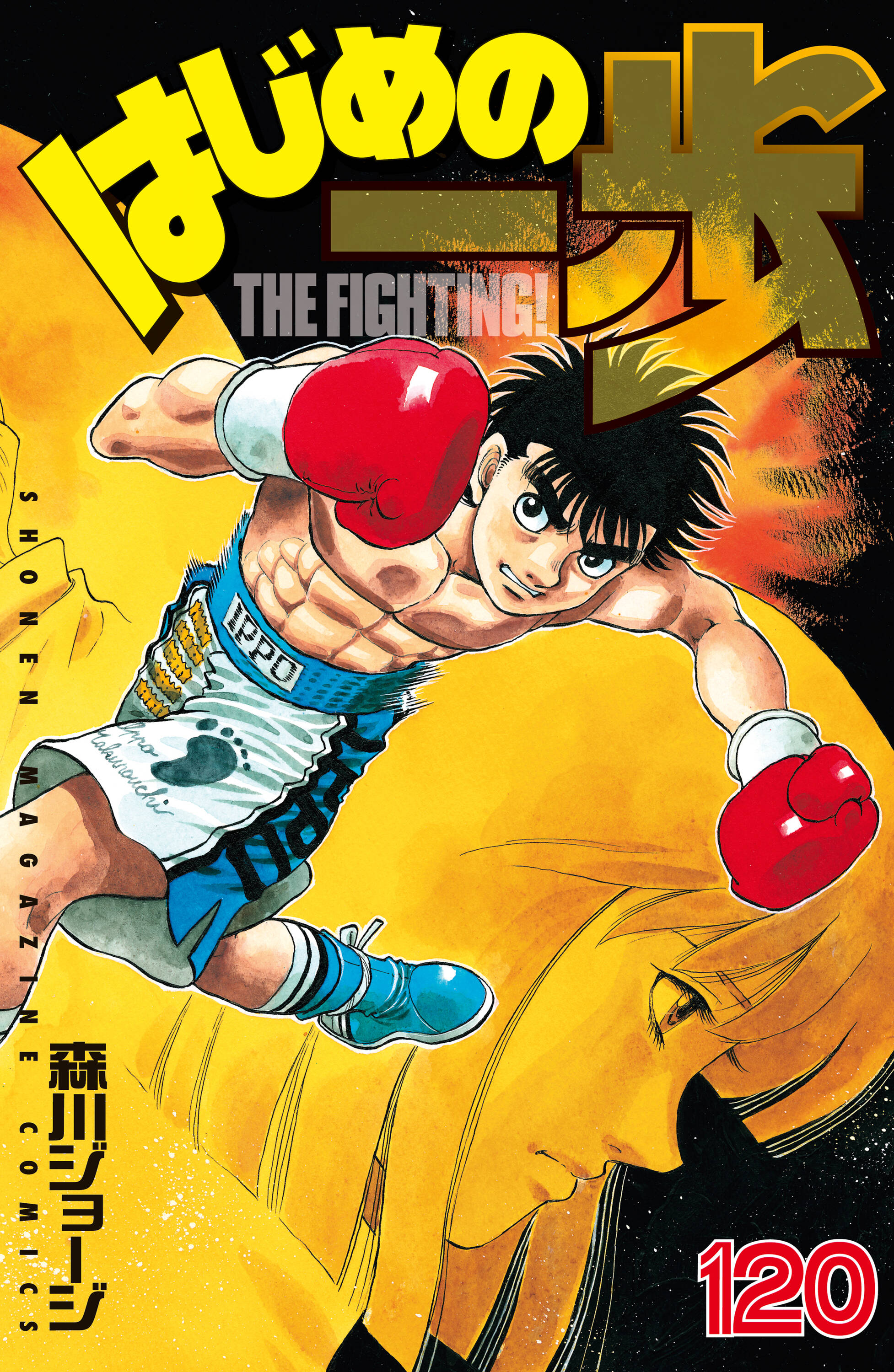 Cover 120