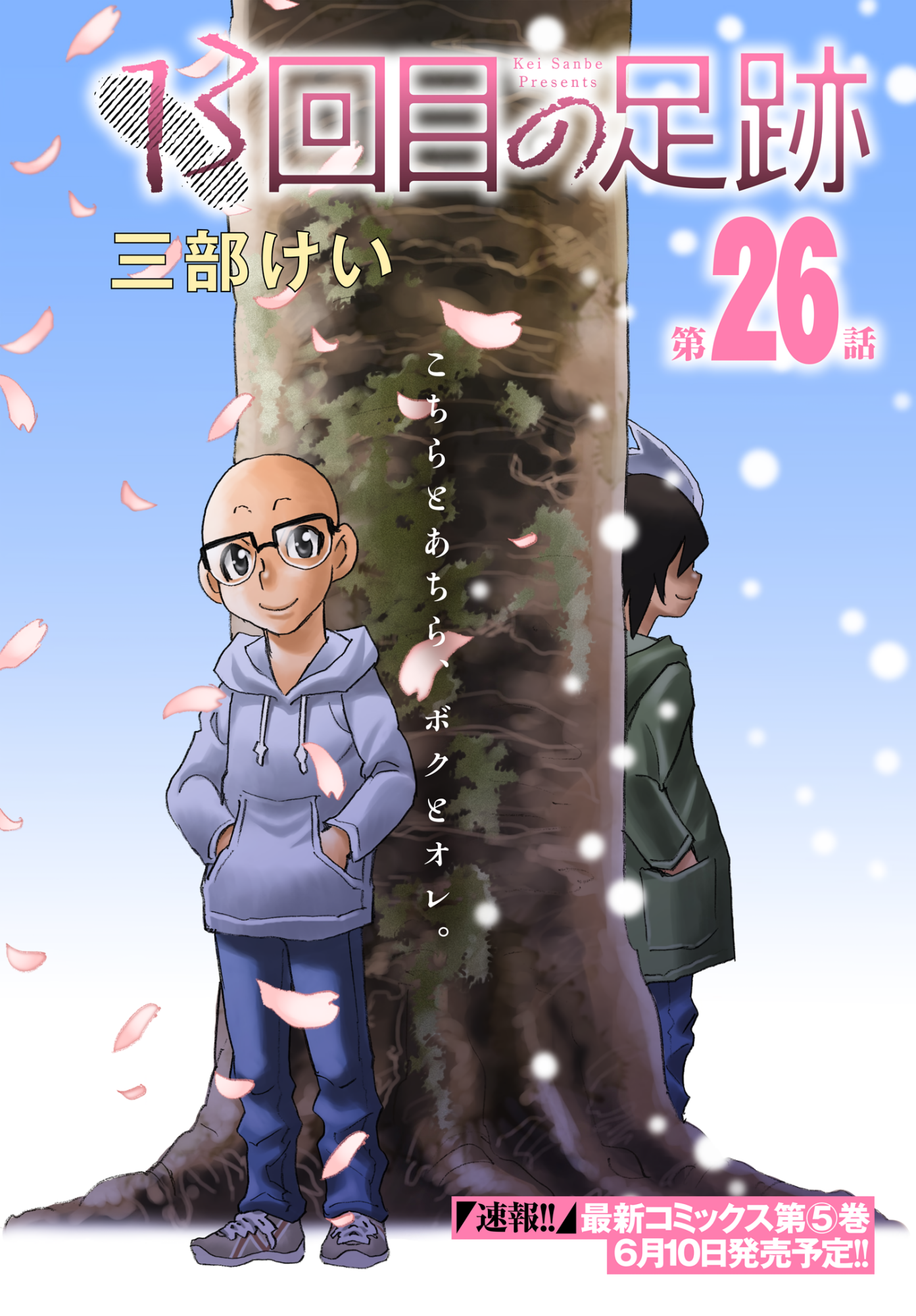 Cover 8
